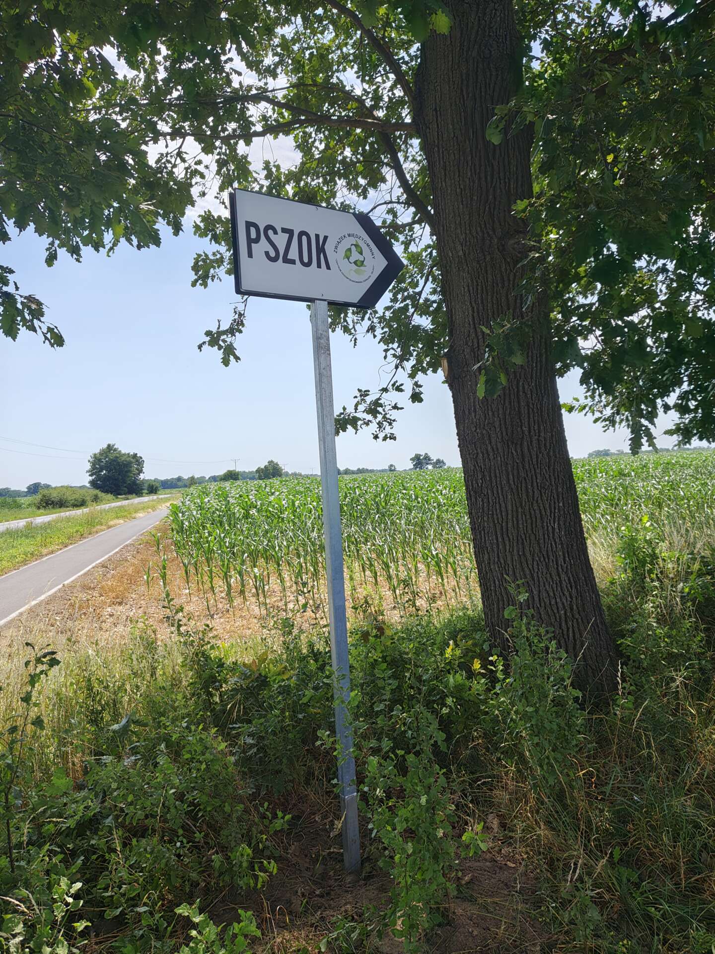 Drogowskaz wskazujący kierunek do PSZOK